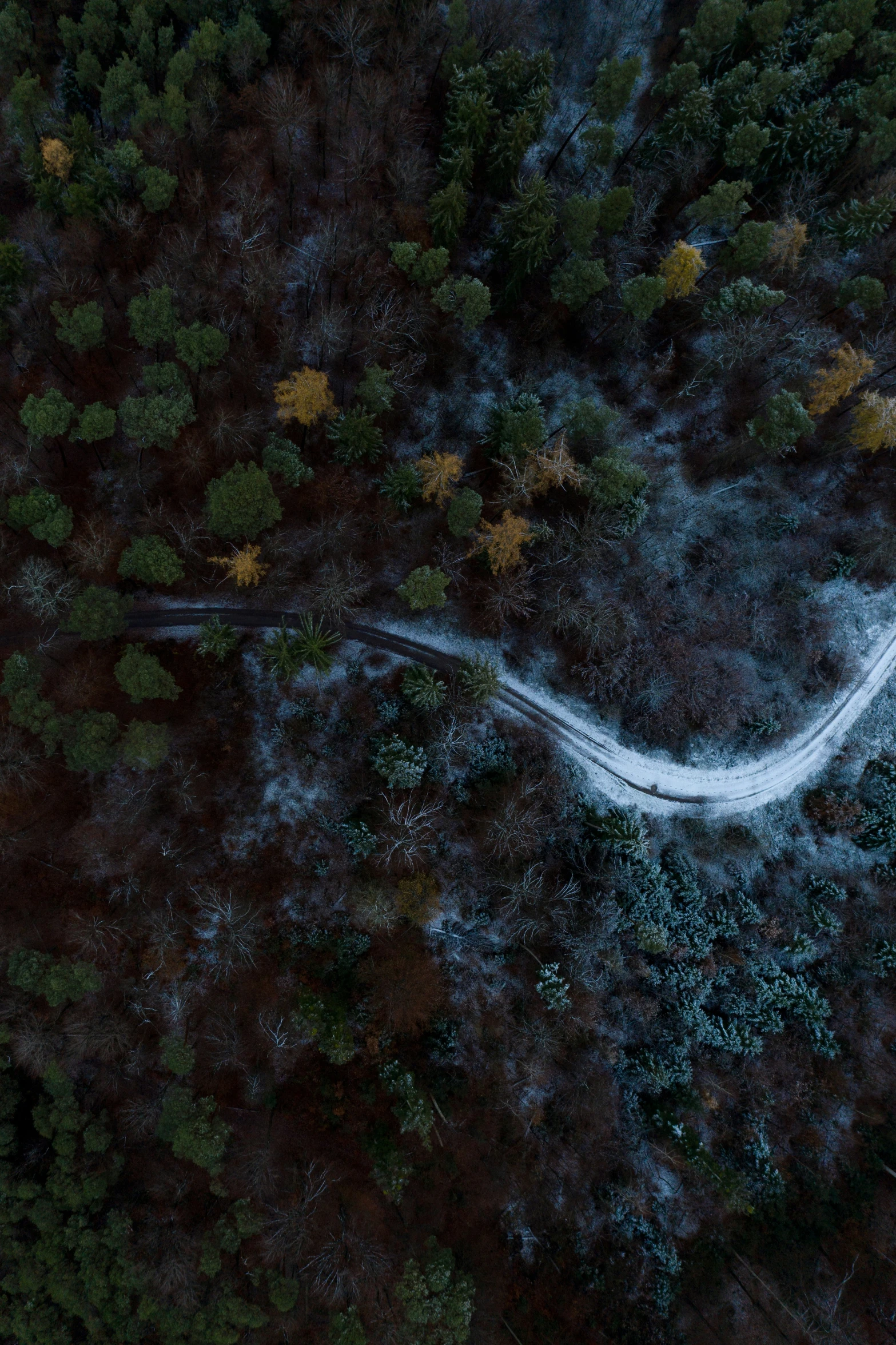 an aerial s of a road through the woods