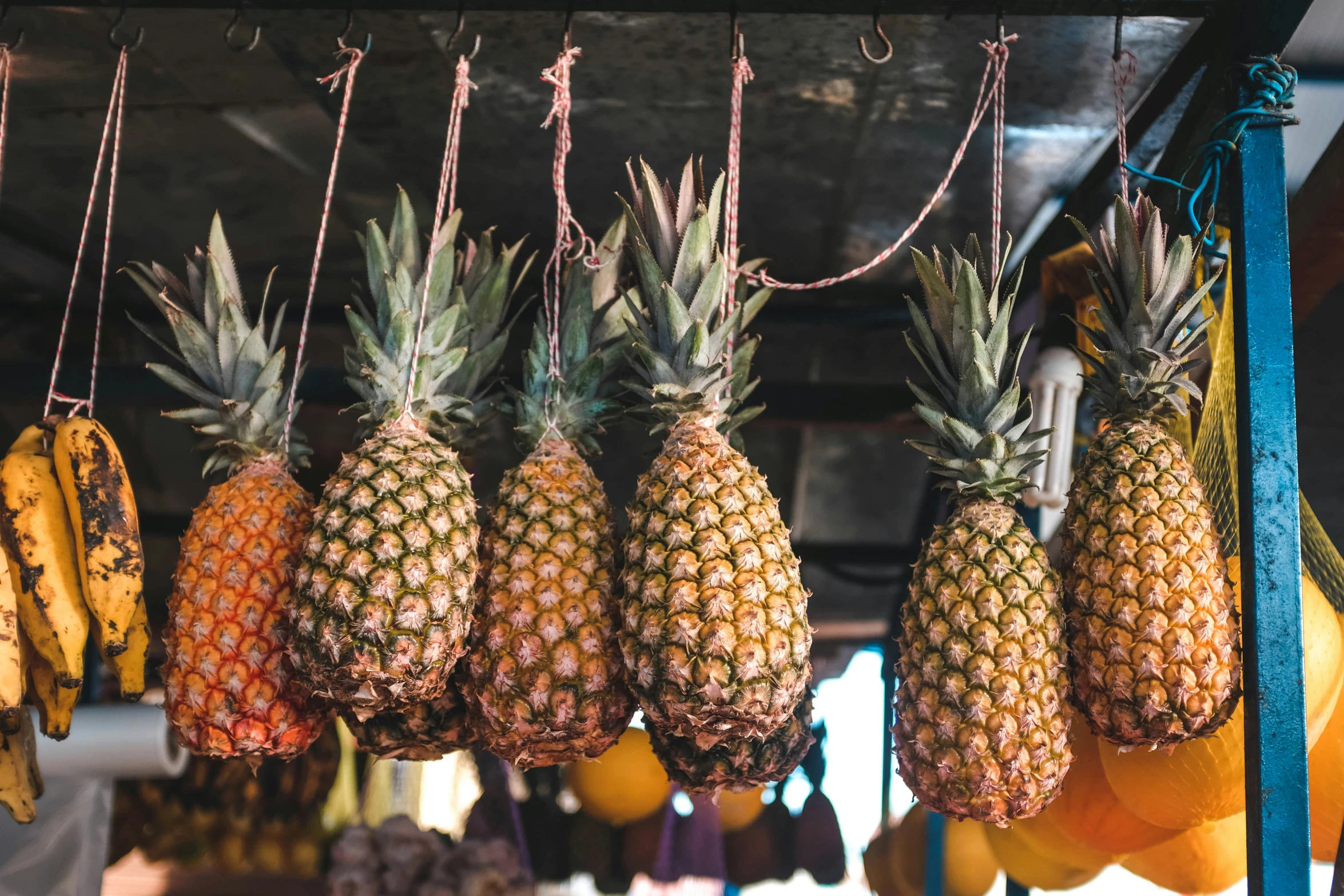 various types of pineapples hanging from string