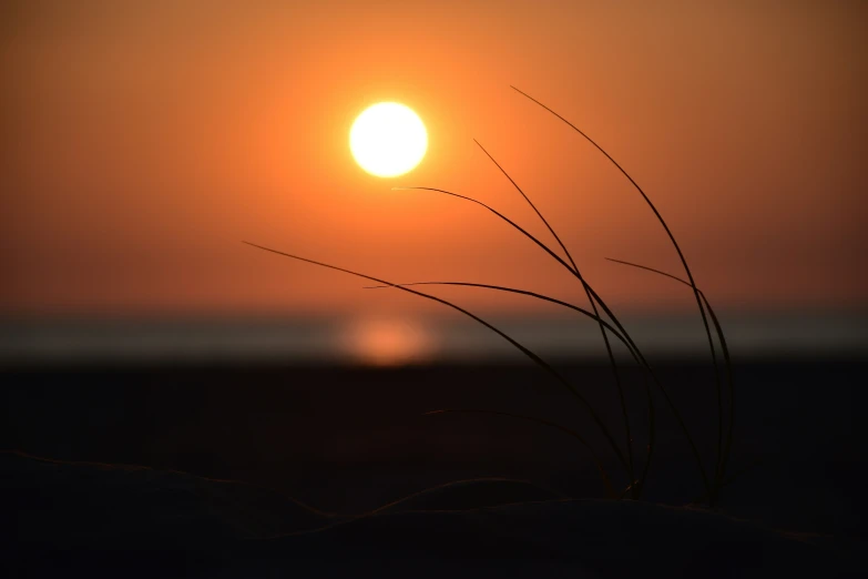 a close up of a sun setting over the ocean