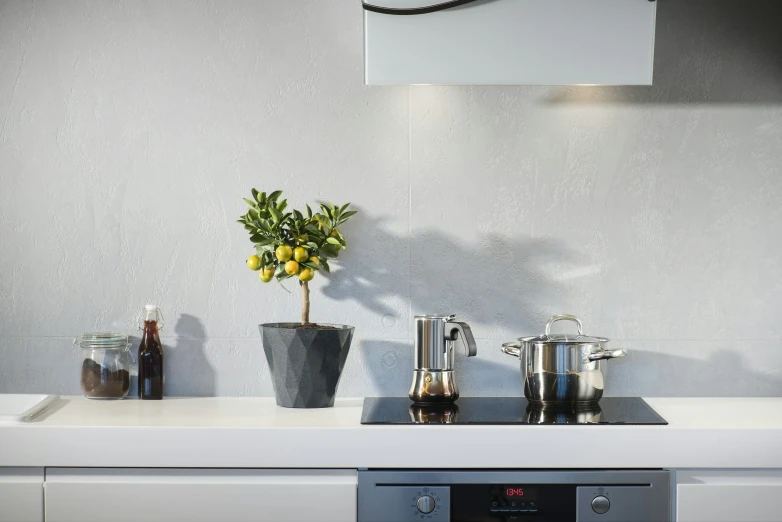 kitchen appliance with stove and cookingware with lemon tree in center