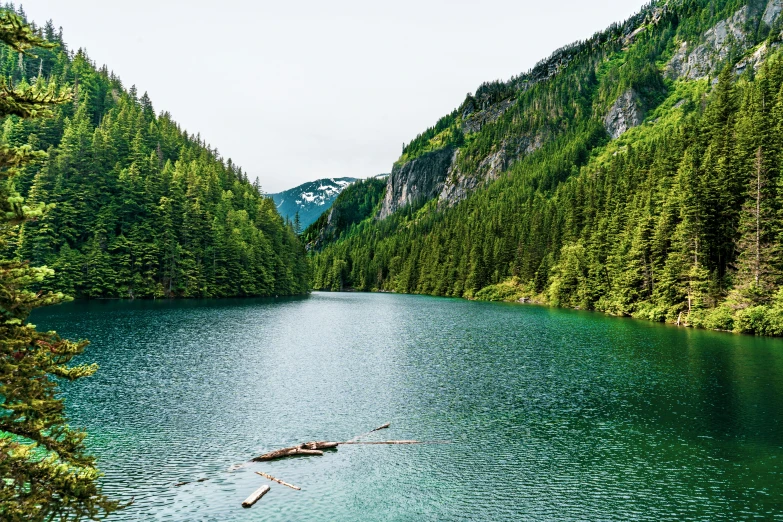 a lake surrounded by many trees and mountains