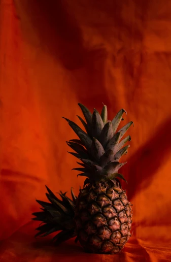 an image of a pineapple on a orange background