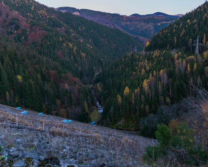 the mountainside with trees and bushes in a mountain valley