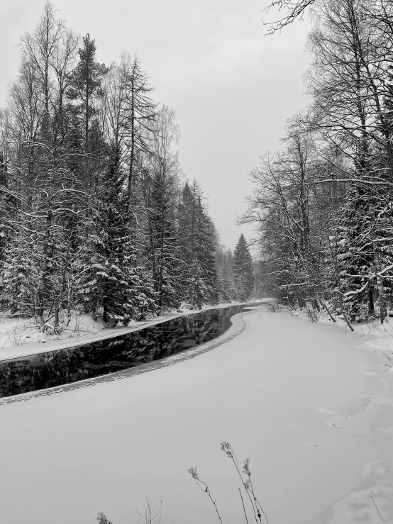 a snowy street surrounded by trees with snow covered ground