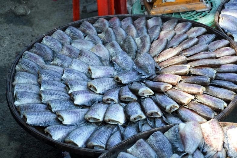 a basket that has a variety of small fish