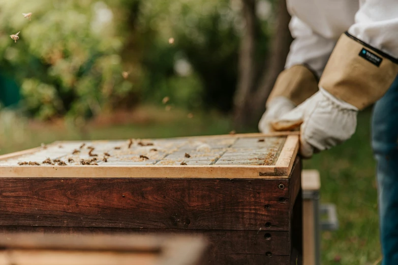 a group of bees fly over a wooden box