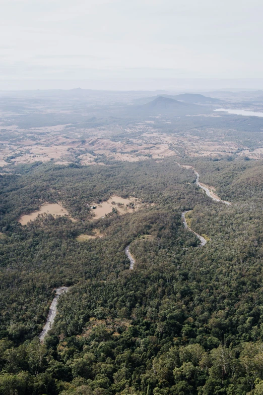 aerial view of a forested mountain landscape near the ocean