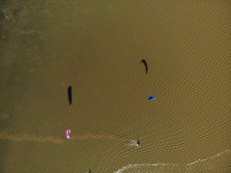 a group of people fly kites on a sandy shore