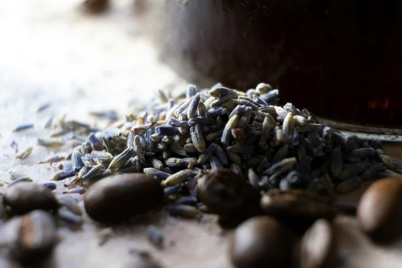 some seeds and black beans are on the counter