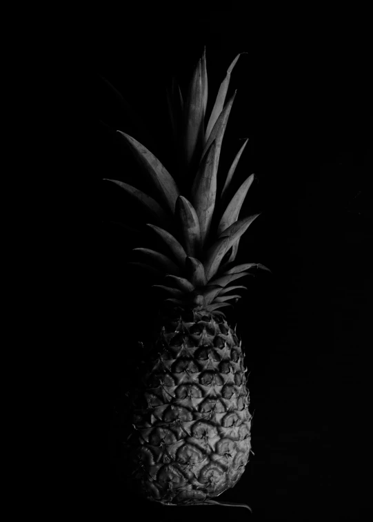 a black and white po of a pineapple