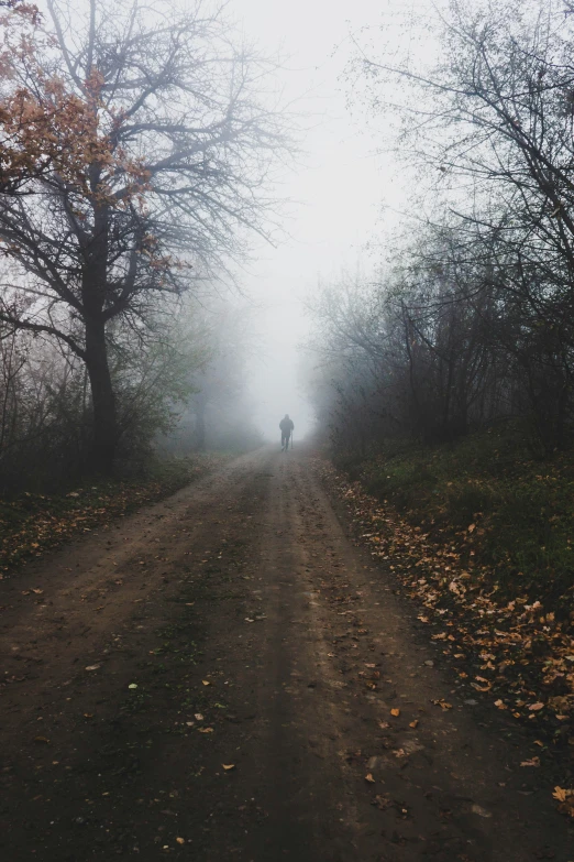 a person standing on a dirt road with trees behind them