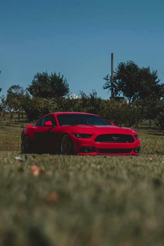 a red ford mustang parked in a park with a field