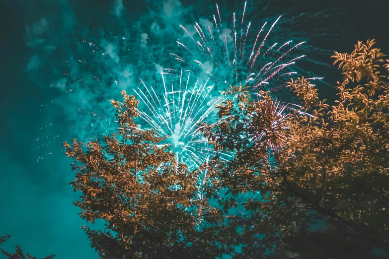 fireworks over trees and in the sky are visible