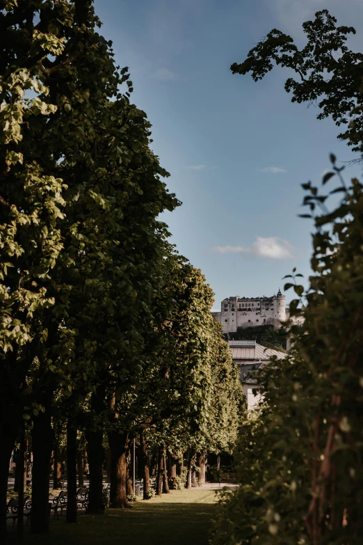 a castle sitting among a grove of trees