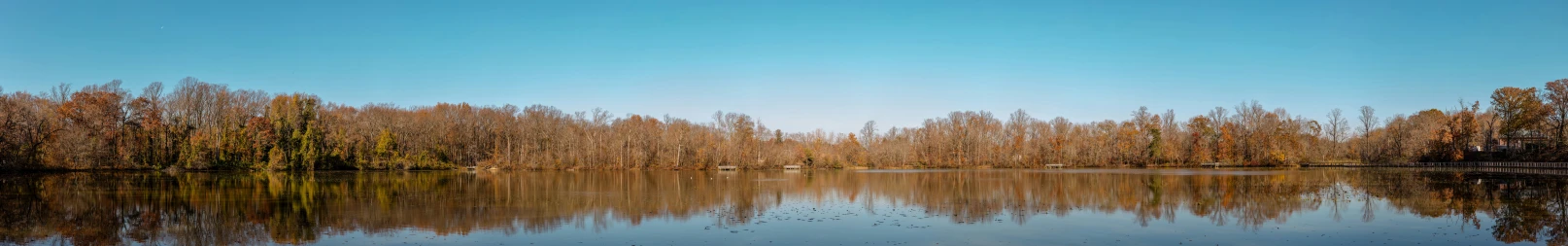 a lake surrounded by trees under a blue sky