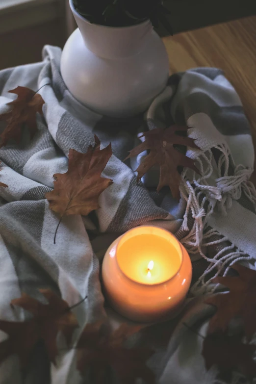 some leaves and a candle are on a blanket