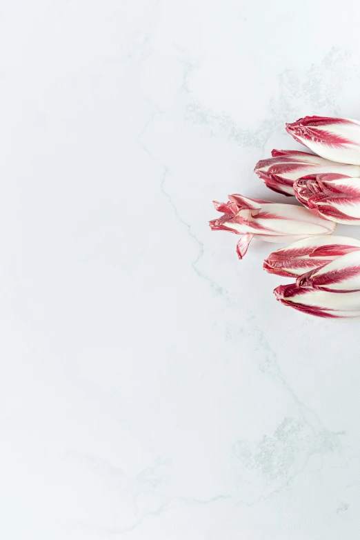 three red and white radishes laid on a counter