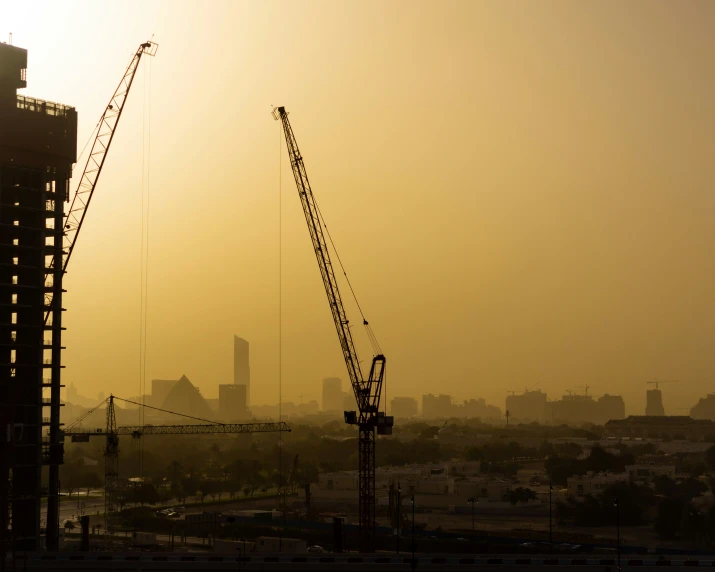 two cranes against the sun on a foggy day