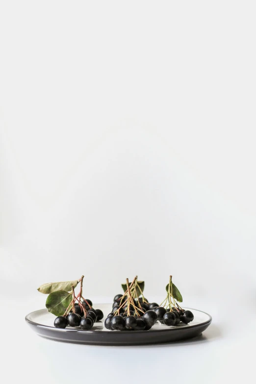 a plate with some black berries on top