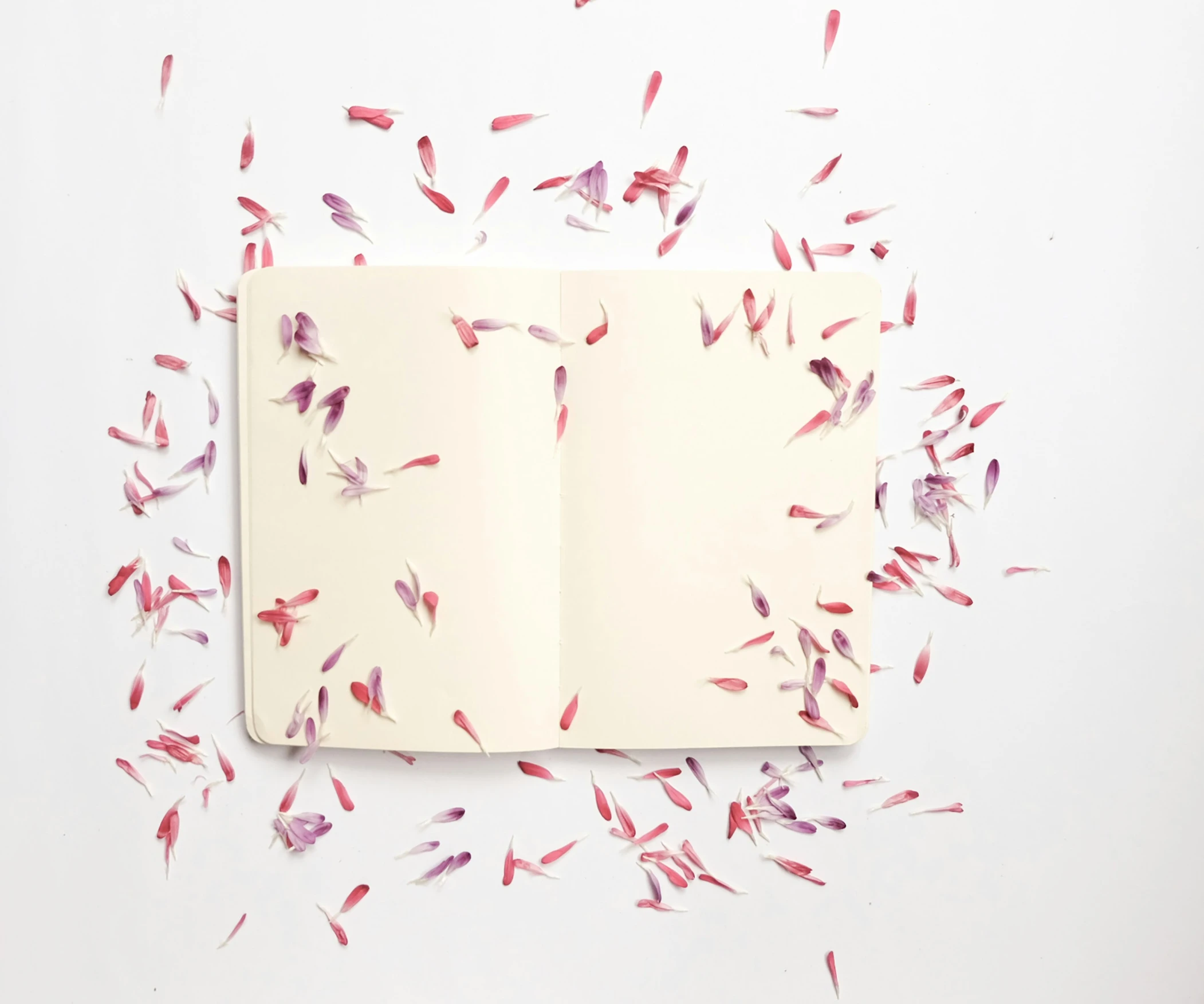 an open journal with red speckles flying in the air