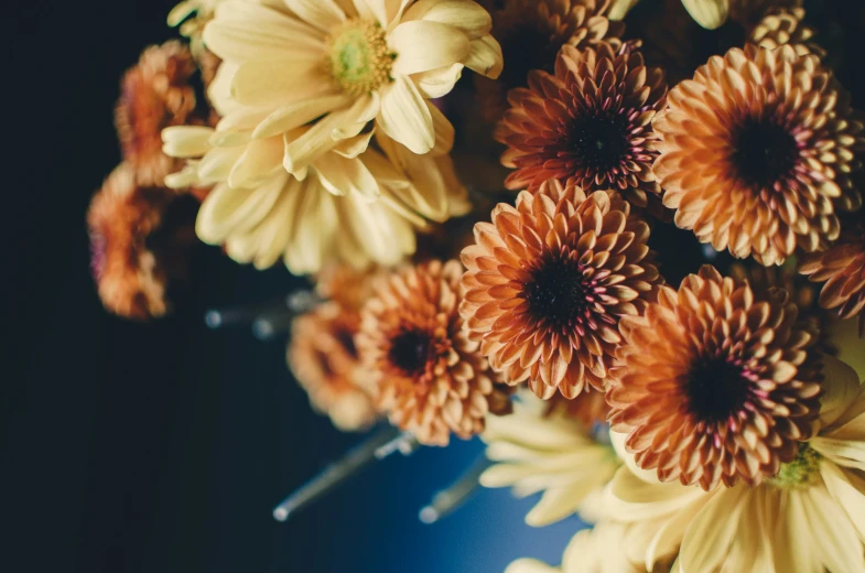 the stems of an ornamental flowering plant in a vase