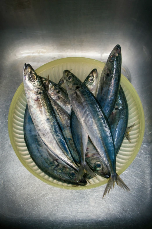 there are several fish on a plate in the sink