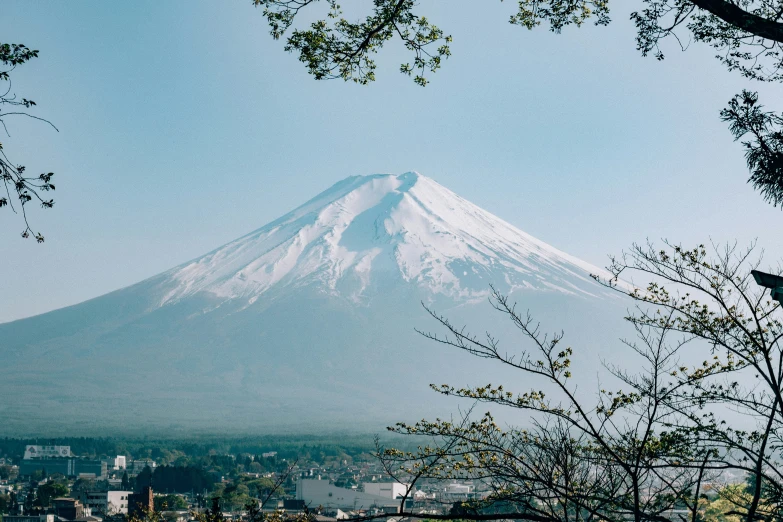 a view of a snowy mountain through trees