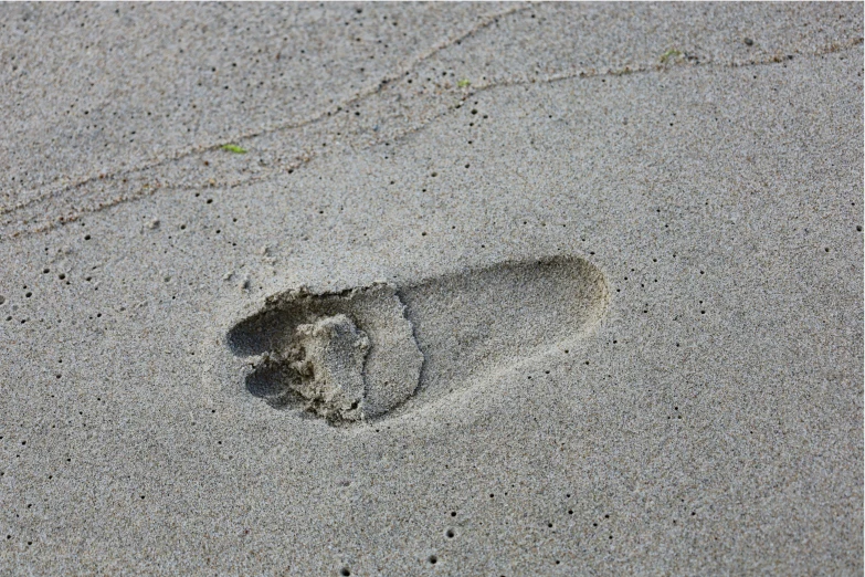 the foot and footprints are left on the sand