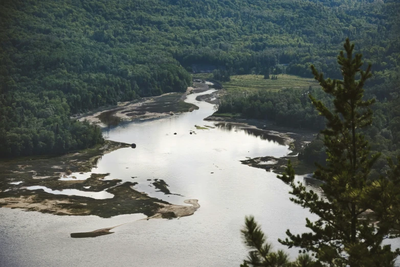 the view from above shows a river in a wooded area