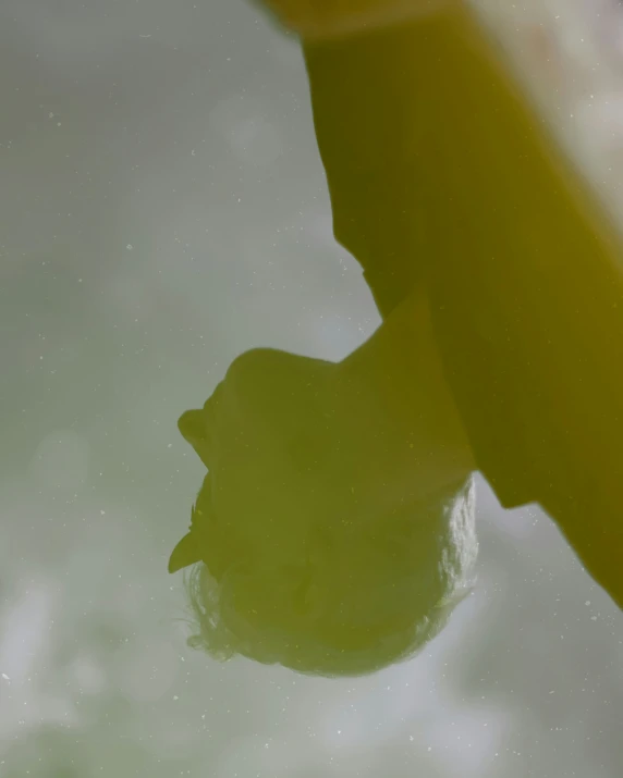 a close up of the reflection of a boat's steering wheel on water