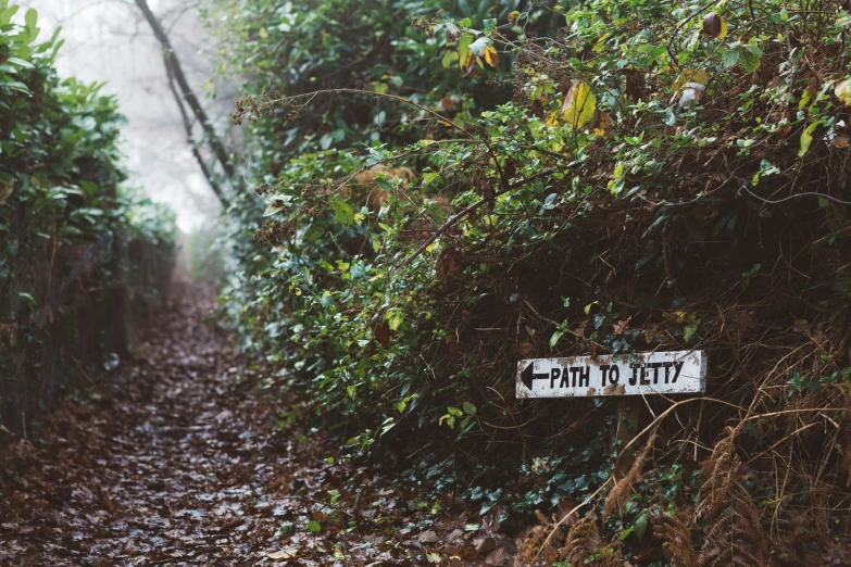 a sign in the middle of a path with trees