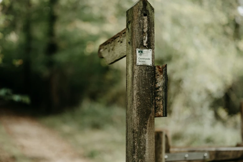 the road signs are pointing to the path