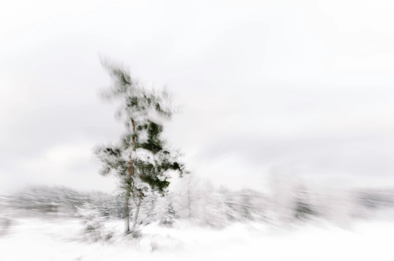 a very abstract po of a snowy tree