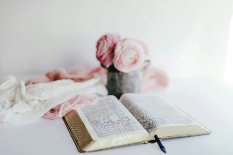 open book with three pink flowers sitting in a small vase