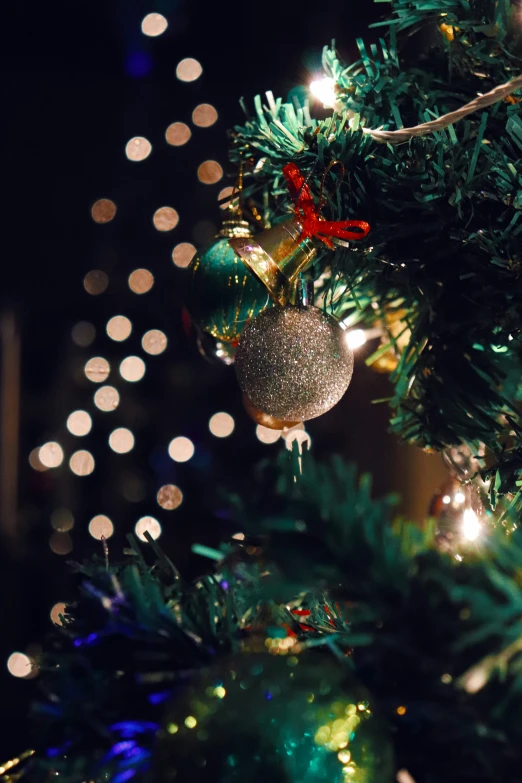 a bunch of christmas trees with lights on them