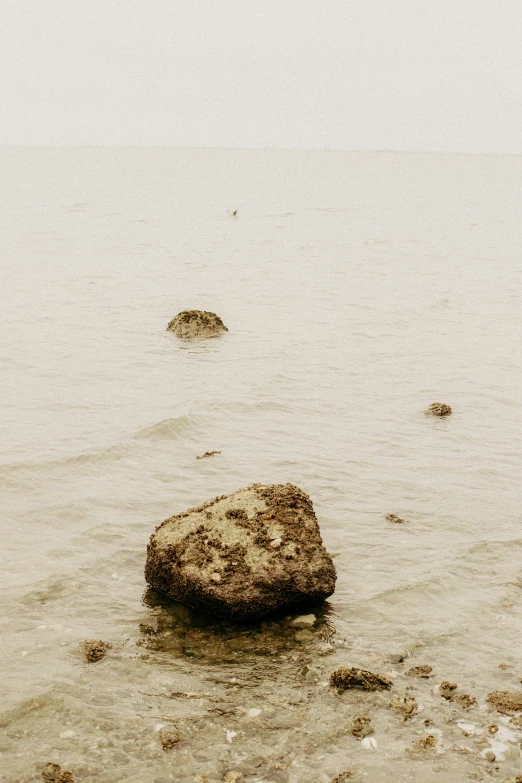 a person sitting on a rock near the water