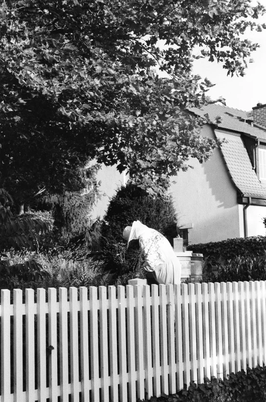 a black and white po shows an animal in a backyard