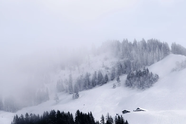 snowy mountains covered in fog and trees