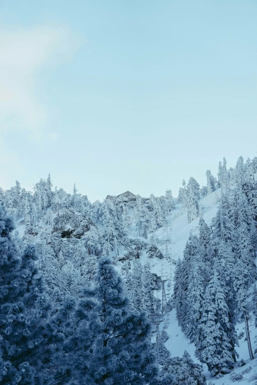 a snowy scene with trees and a blue sky