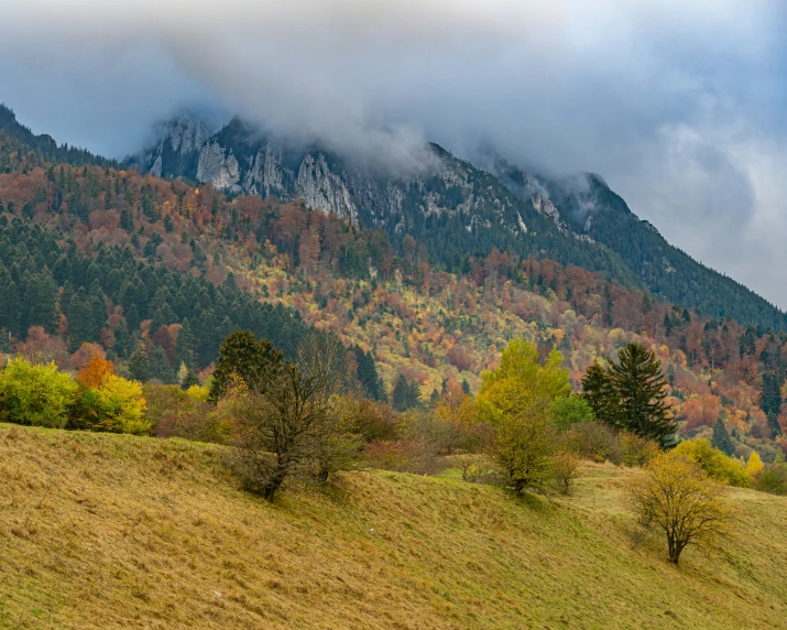 the mountains rise beyond the trees in autumn