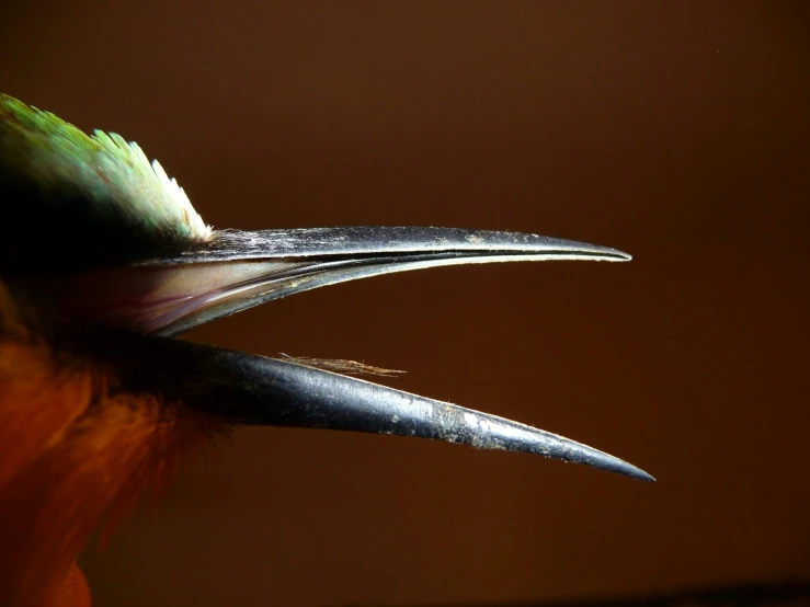 two birds standing in close proximity with a light in the background