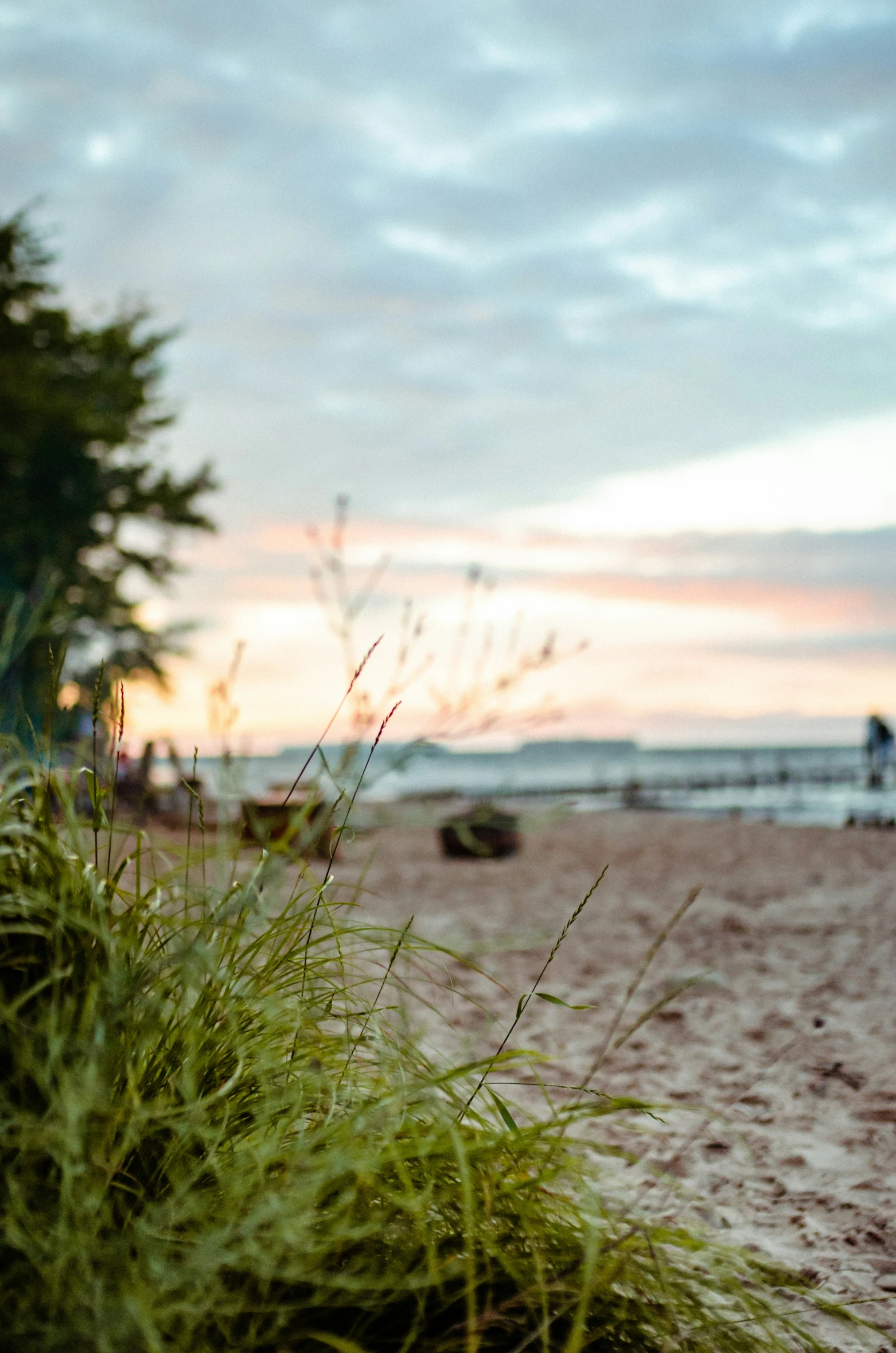 some grass sitting on the sand and a sky