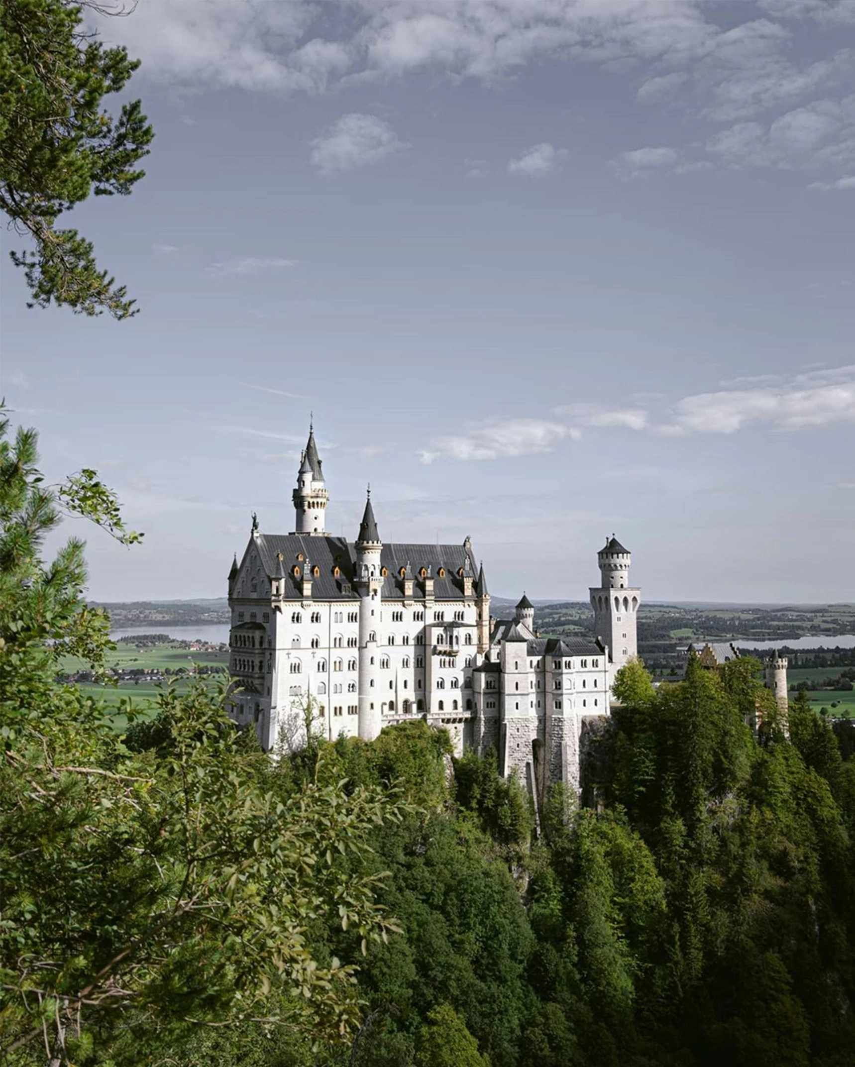 an elegantly built castle is seen through the trees