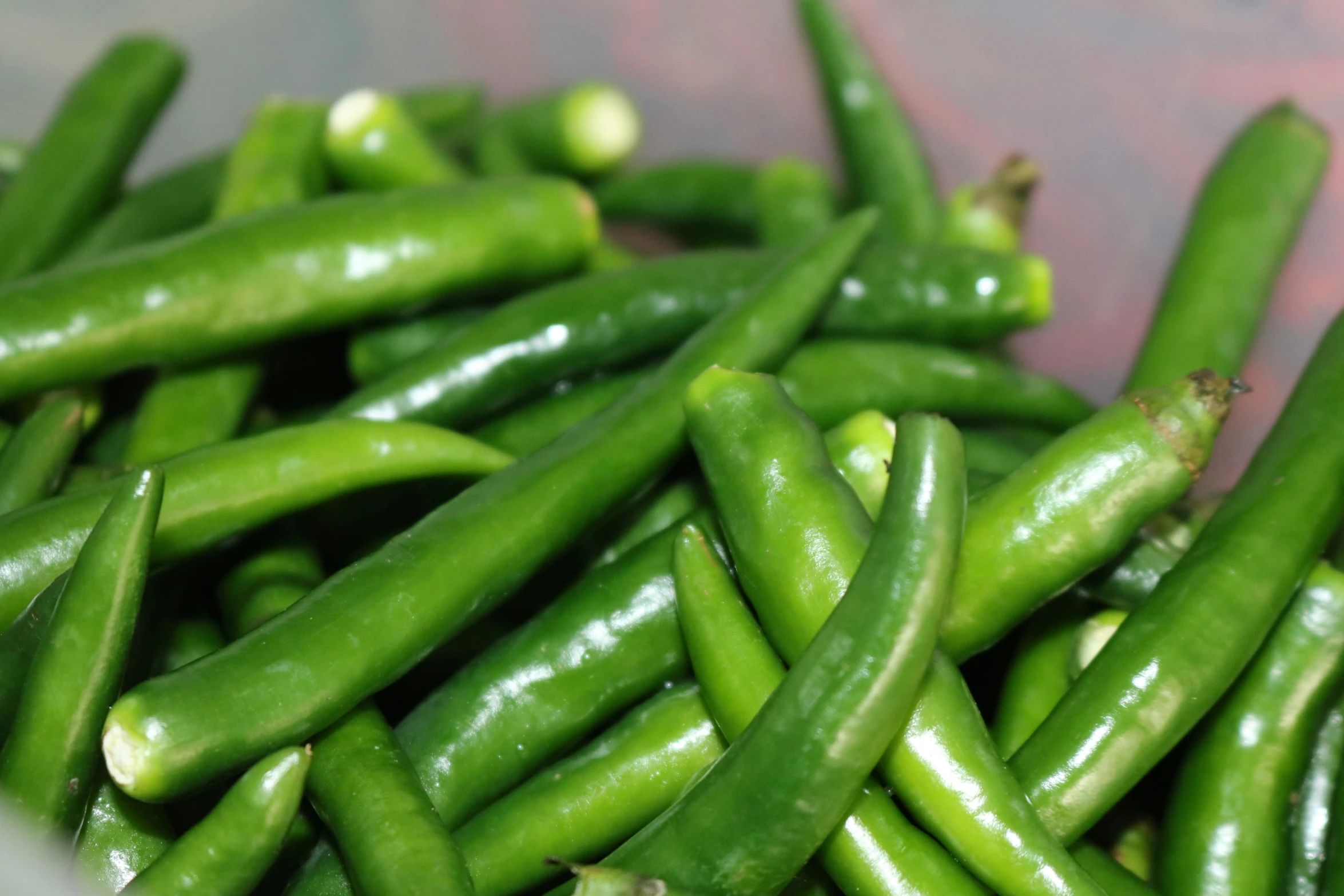 a bowl filled with green beans and another type of plant