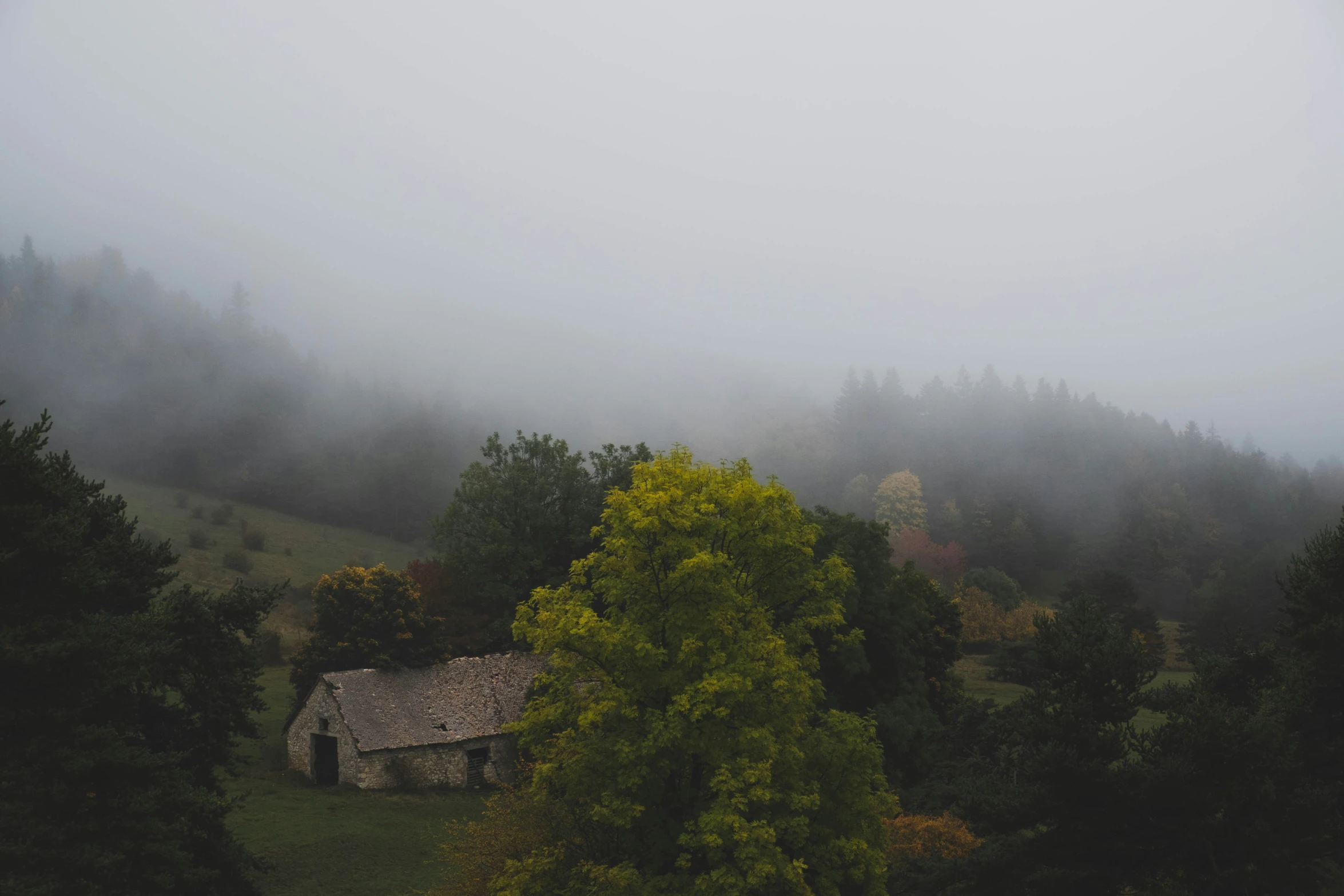 fog hovers around a stone cabin in a field
