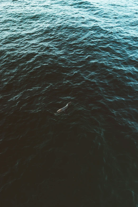 a person is swimming in a large body of water