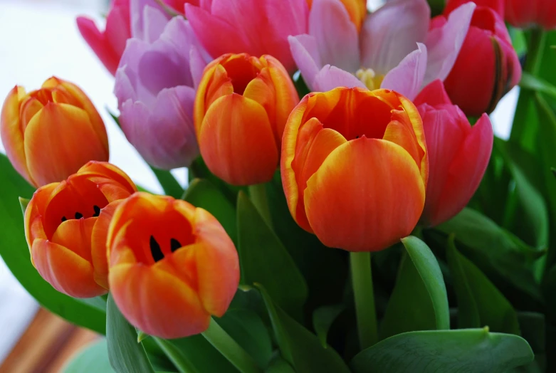 a bunch of colorful flowers with green leaves in a vase