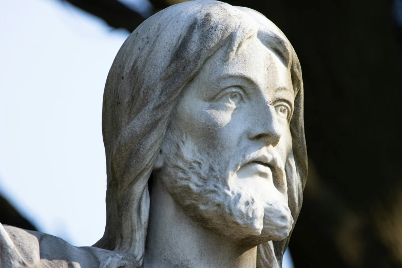 an old statue with his head covered by a beard