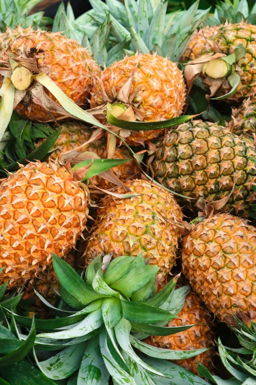 many pineapples are laying on a pile in the fruit market