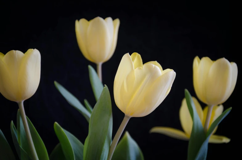 the yellow flowers are blooming in the vase